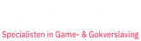 Hervitas — specialisten in game- & gokverslaving